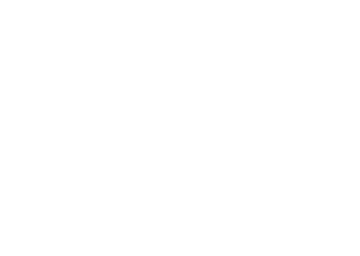 Skin and Stone